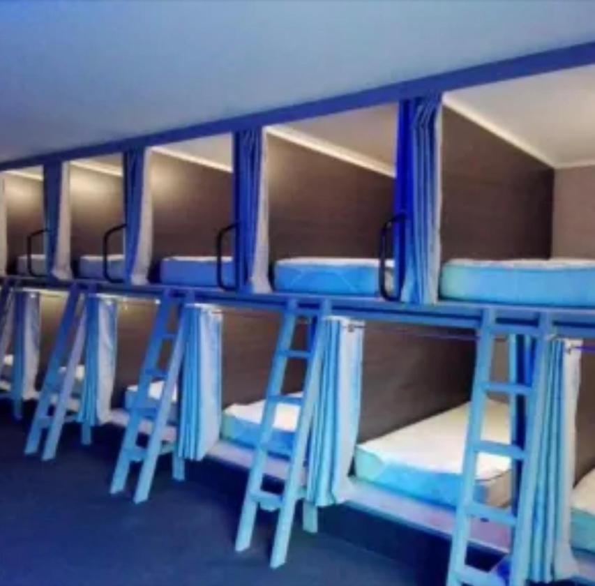 Swansea Backpacker Lodge Luaran gambar